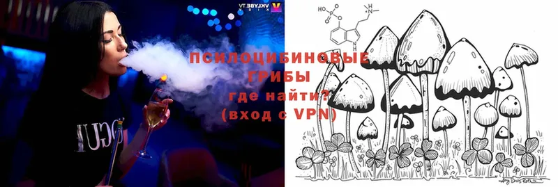 omg как зайти  Новошахтинск  Псилоцибиновые грибы Magic Shrooms 